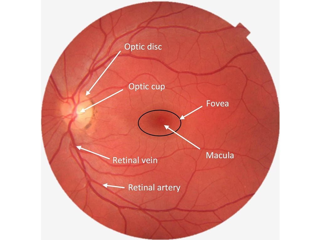 COMPREHENSIVE EYE EXAMINATION - Best Eyecare Clinic In Lahore